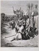 Similar image