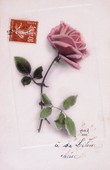 Similar image