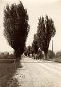 Similar image