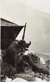Similar image