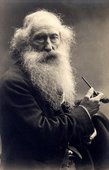 Similar image