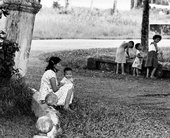 Similar image