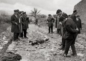 Similar image