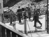 Similar image