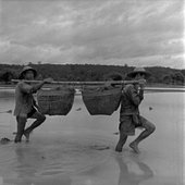 Similar image