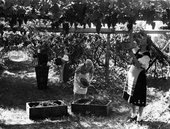 Similar image
