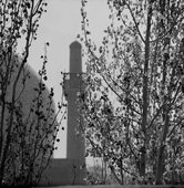 Similar image