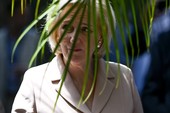 Similar image