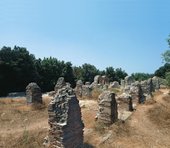 Similar image