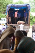 Similar image