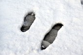 Similar image