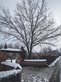 Similar image