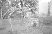 Similar image