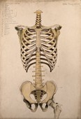 Similar image