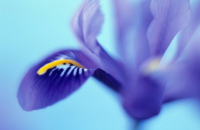 Image 10337551