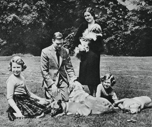Royal family as a happy group of dog lovers, 1937. Artist: Michael Chance