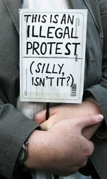 Image 18973013