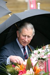 Image 20946462