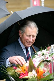 Image 20946463