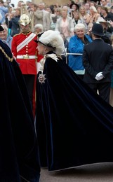 Image 21610234
