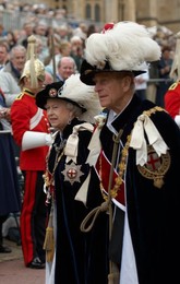 Image 21610240