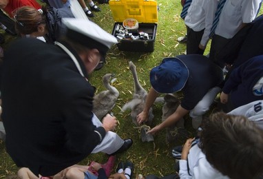 Image 22061941