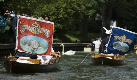 Image 22066256