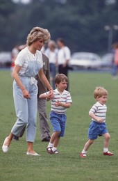 Image 22089128