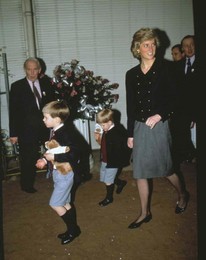 Image 22268617