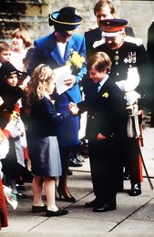 Image 22268620