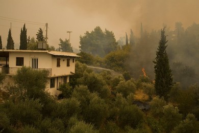 Greece forest fires