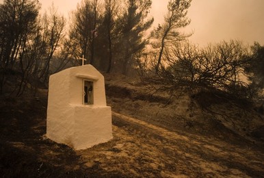 Greece forest fires