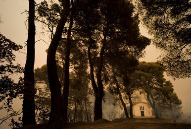 Greece forest fires