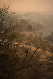 Greece forest fires