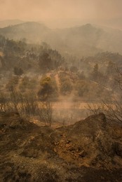 Greece forest fires