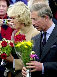 Image 22417266
