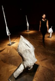 Image 22831571