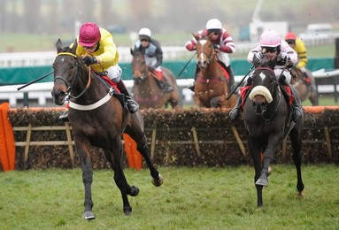 Racing at Cheltenham