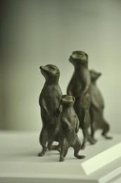 Image 25670284