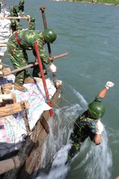 Image 25679469