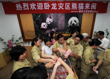 Image 25982183