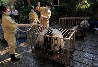 Image 25982195