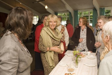 Image 25998693