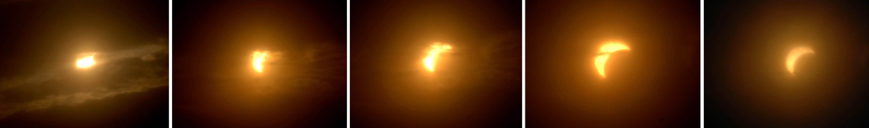 Image 26431628
