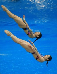 Image 26477528
