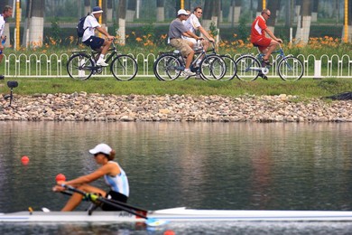 Image 26538956