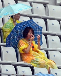 Image 26549559