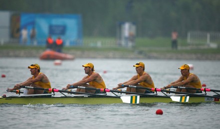Image 26549882