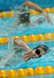 Image 26581879