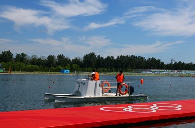Image 26638472